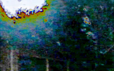 CASHA MOUR | singolo | DISTOPIC.IT