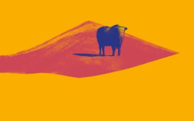 Club 8 remonte le fil du temps avec « Travel Back In Time »