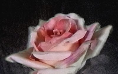 Pearly Drops prolongent le rêve avec Heaven, une dérive nocturne et cinématographique