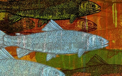 Quinn Collins, l’orfèvre sonore qui façonne “Precious and Intelligent Metal”