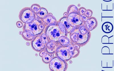 « We are what we protect » : le retour introspectif de The Kiss That Took A Trip