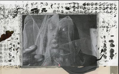 Papa Mbye sublime l’amour avec “CARE 4 U”, extrait vibrant de JAKAARLO