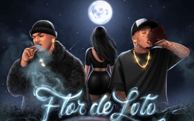 « Flor de Loto » : Une éclosion de douceur dans le bitume signée ATOMO x Treintisiete