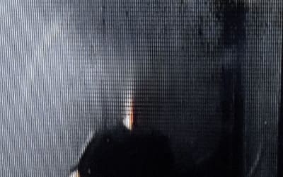 Tomás Tomás - I Gotta Look Up More Indie Music Review