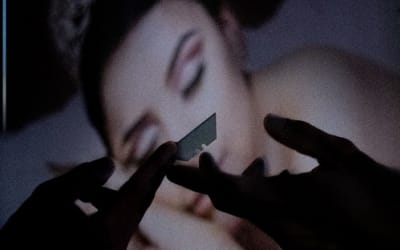 Waxed - The Continental Way Indie Music Review