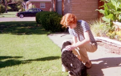 Ky J. Brandes – Show