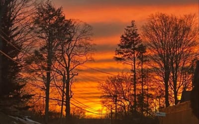 Cliff Root – Summer Sands