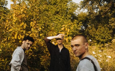 Cola – Hedgesitting