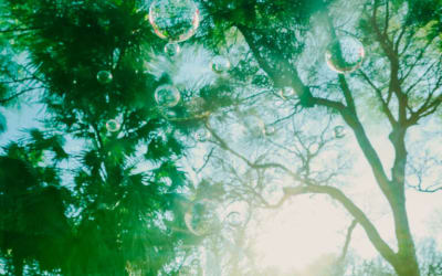 Paper Sister – Dreamy