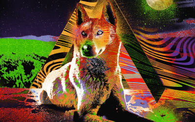 Exclusive Premiere: Edrix Puzzle “Eris Fall” | Music Is My Sanctuary