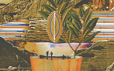 Exclusive Premiere: John Beltran “A Dança da Manhã”