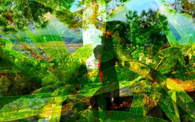 Exclusive Premiere: Agile Experiments “if you believe”