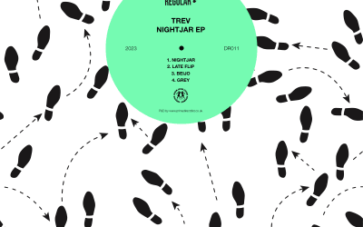 Exclusive Premiere: Trev “Beijo” (forthcoming EP on Dance Regular)