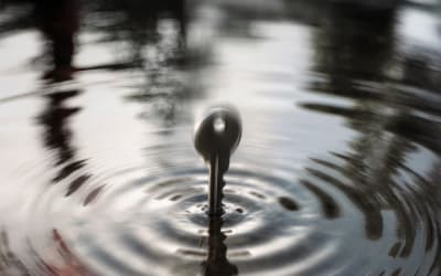 I’m Not A Blonde – To Fall