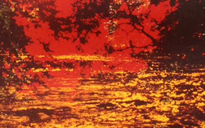 Coaxial – Redux Trilogy