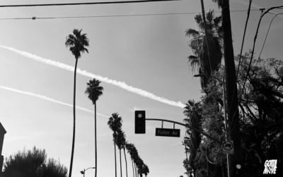 ero808 and NXSTY – KODAK