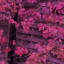 Phew and Danielle de Picciotto Create Shape-Shifting Sound » PopMatters