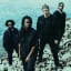 A Call to Action from Irreversible Entanglements: “Vibrate Higher, Beyond the Noise”