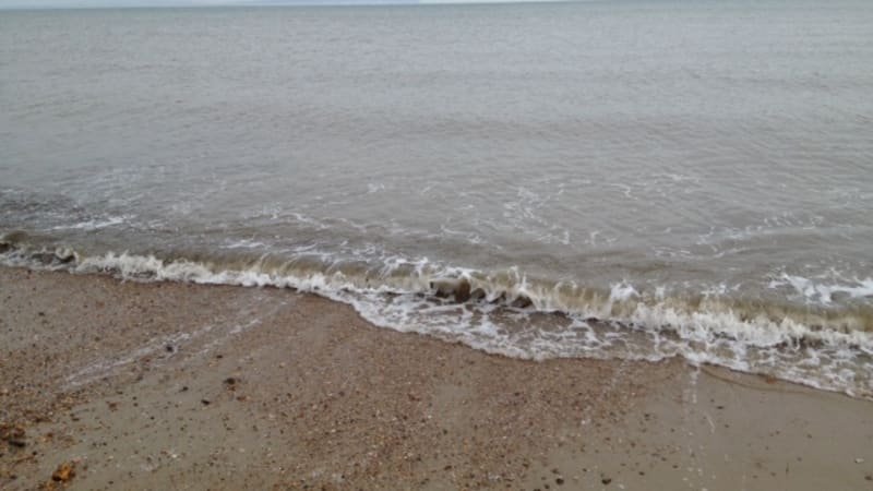 Elbows up, with a bit of chill: Gold Soul Leo – North Shore