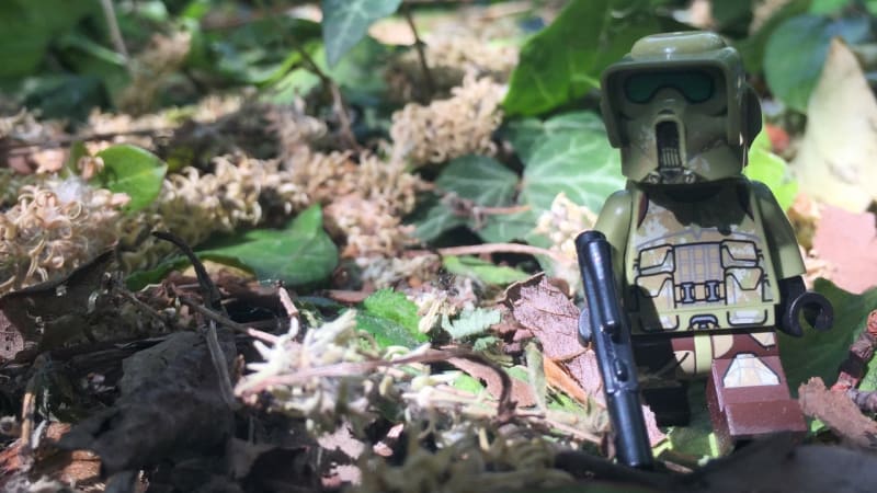 Moody techno with: Grooving Stones – Swamp Noises