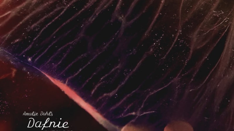 African Paper | Amalie Dahl veröffentlicht Konzertmitschnitt