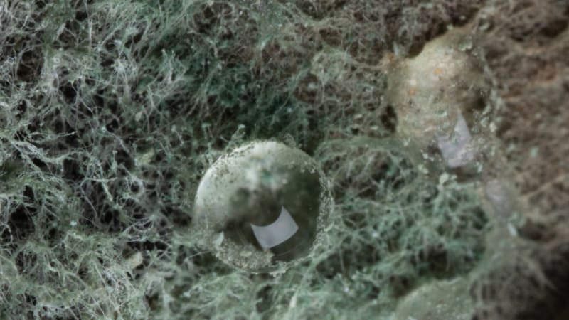 African Paper | Nerve Cell Threads Electronics: Neuer Longplayer von Jarl