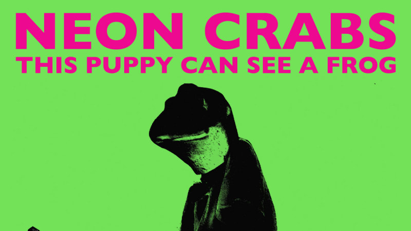 African Paper | This Puppy Can See A Frog: Erstes Tape der Neon Crabs