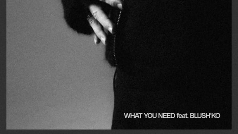 Sola Rosa - What You Need (ft. Blush'ko)