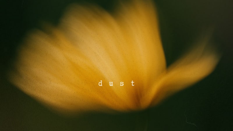 Saive - Dust