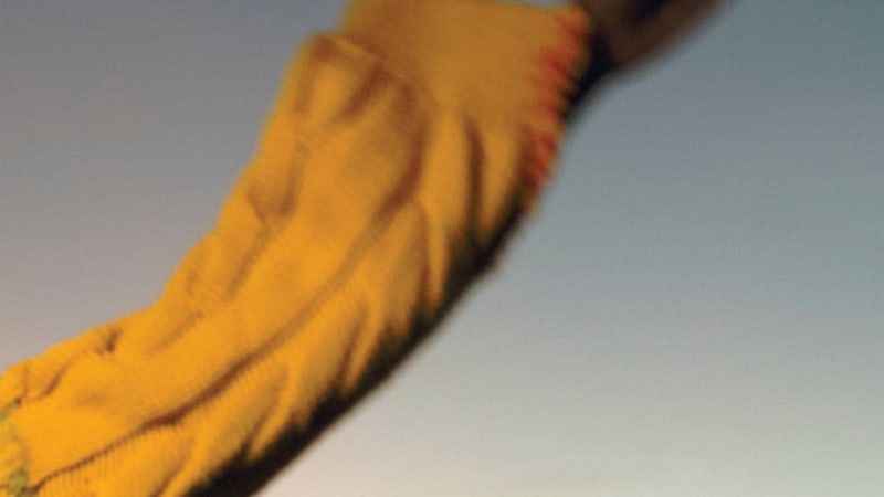 rum.gold - Asleep at the Wheel