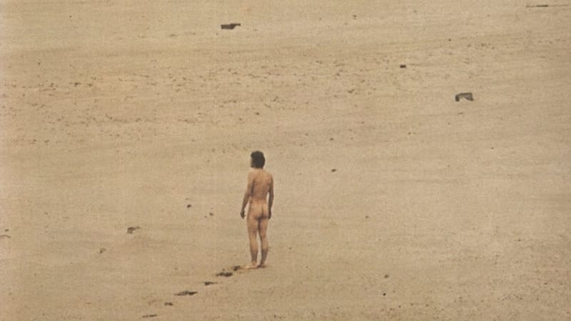 Jean-Claude Vannier :: L’enfant Assassin des Mouches - Aquarium Drunkard