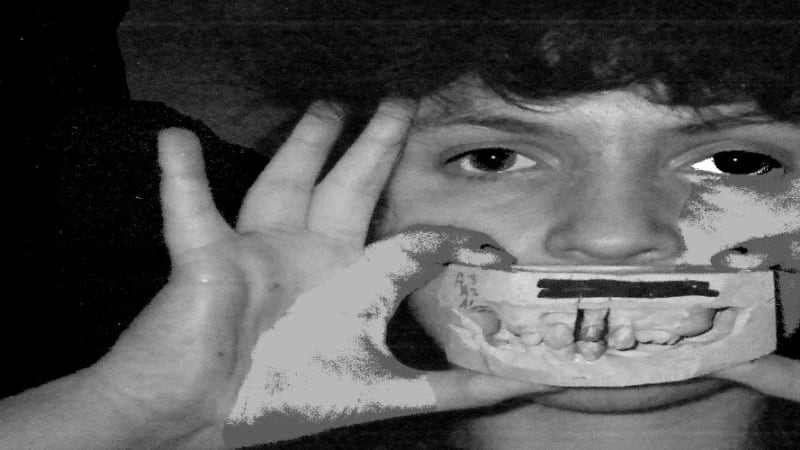 Kingdom of Birds Are Inexterminable on ‘Vermin’ │ Exclaim!