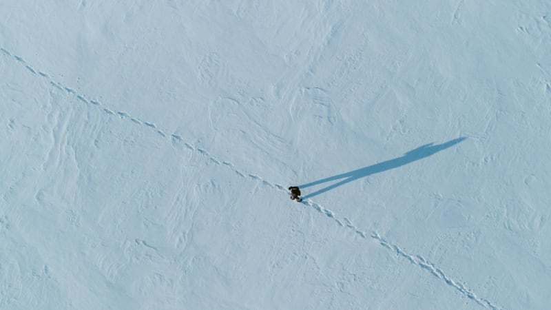 Reaper: A Short Story - Atwood Magazine