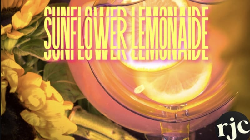Ryan John Clary - Sunflower Lemonaide (be nice records)