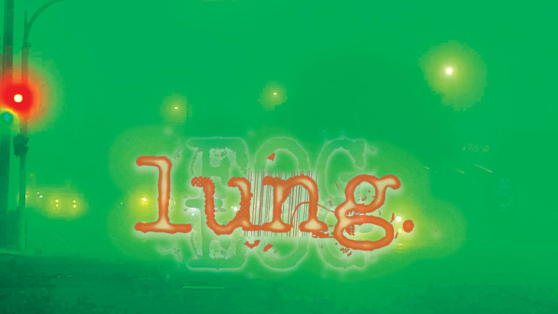 Lung - Fog (Yellow Bike Records)