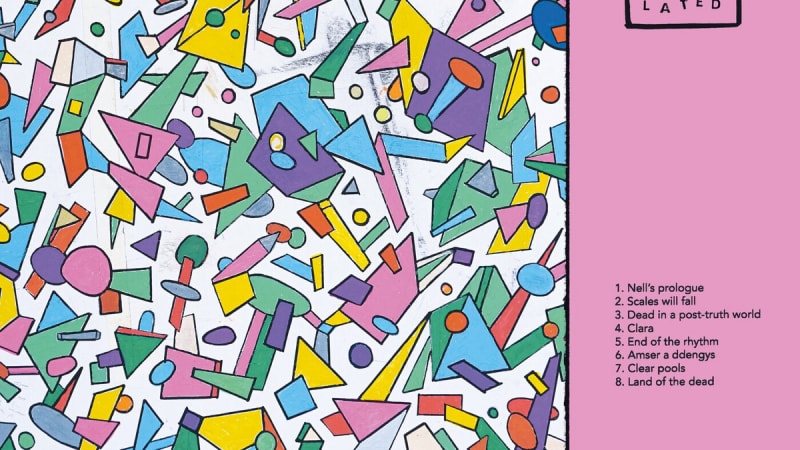 Hen Ogledd - DISCOMBOBULATED (Domino)