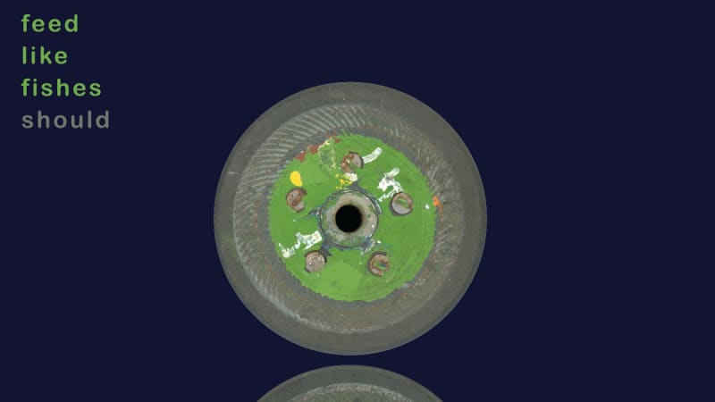 Should – Feed Like Fishes (Deluxe) (Numero Group)