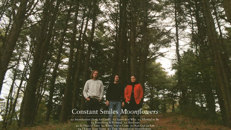 Constant Smiles - Moonflowers (Felte)