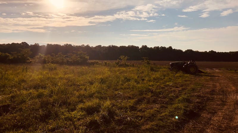 Gordy Murphy - Wash (No Label Records)