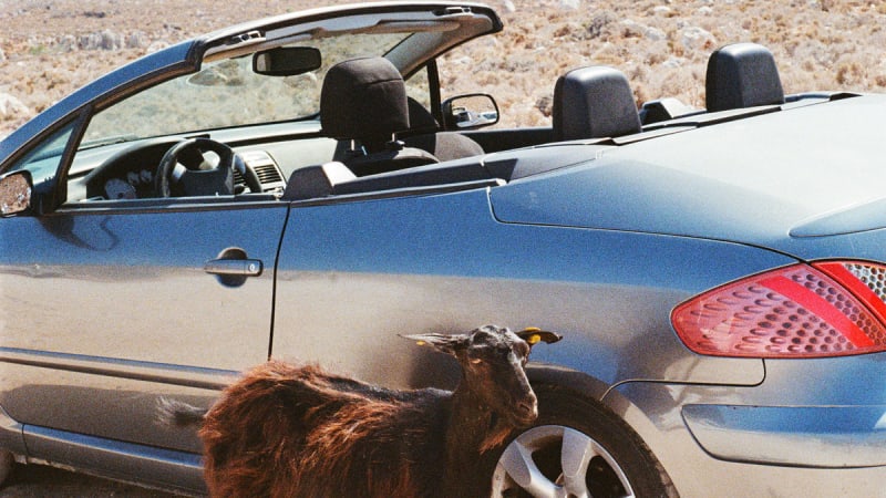 EXEK – Prove The Mountains Move (DFA)