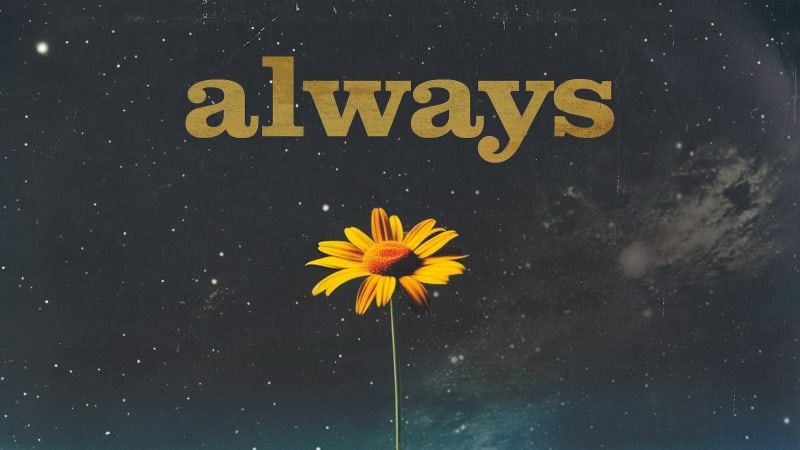 RISE - Always (Rise Records)