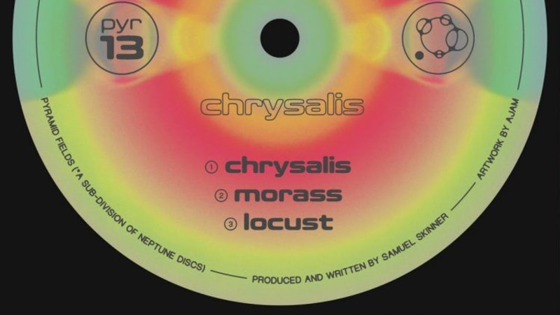 Skinner - Locust [Pyramid Fields] ~ Bolting Bits