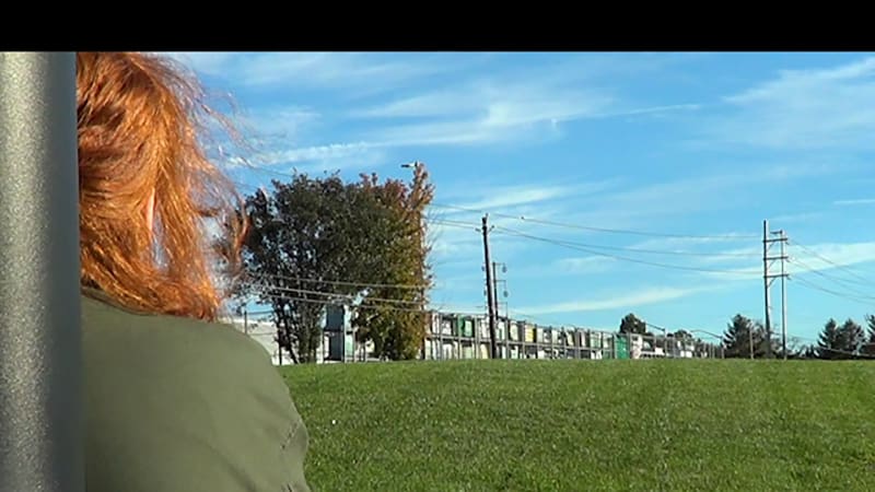 Review: Divine Hammer - Chicago Reader