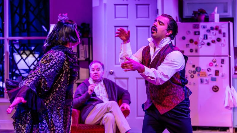 The Drowsy Chaperone delights at Theo - Chicago Reader