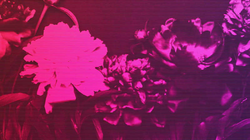 Girl As Wave - Good Fiction (Discover) • Electrozombies