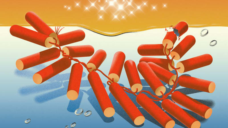 YĪN YĪN, “Yatta!”