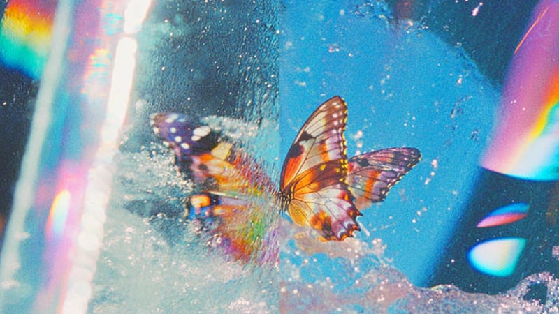 Daphni, “Butterfly”