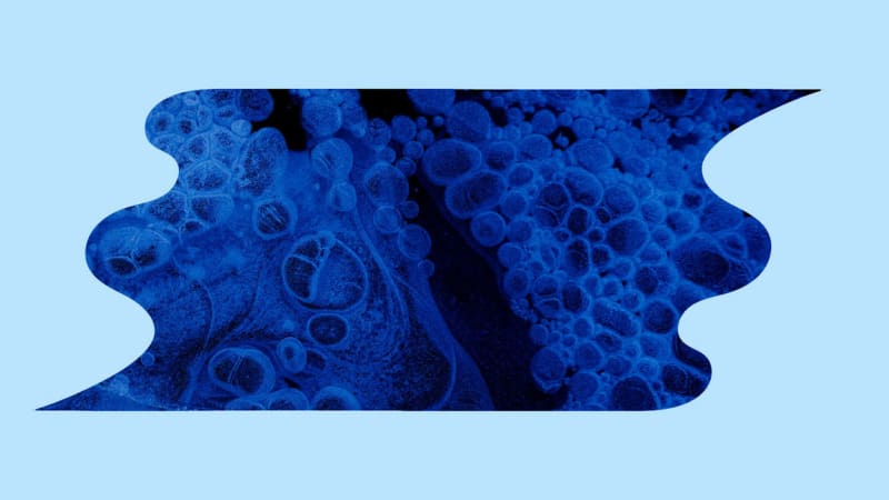 The Best Field Recordings on Bandcamp, March 2026