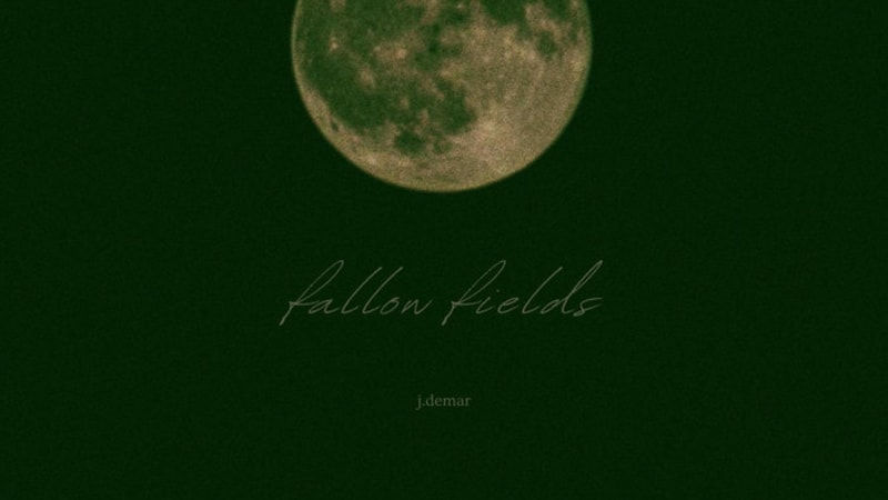 j.demar - fallow fields - The shape of what's missing, held in the light that remains.