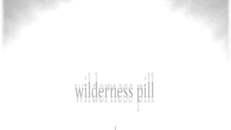 Wilderness Pill - Wilderness Pill - Electric guitar improvisations, drones, distortions, dissonances, and repetitions through ailing solid-state amplification from a crumbling room in a sinking house, in a poisoned city on the brink of collapse.